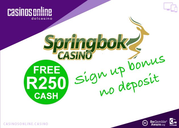 springbok no deposit coupon code